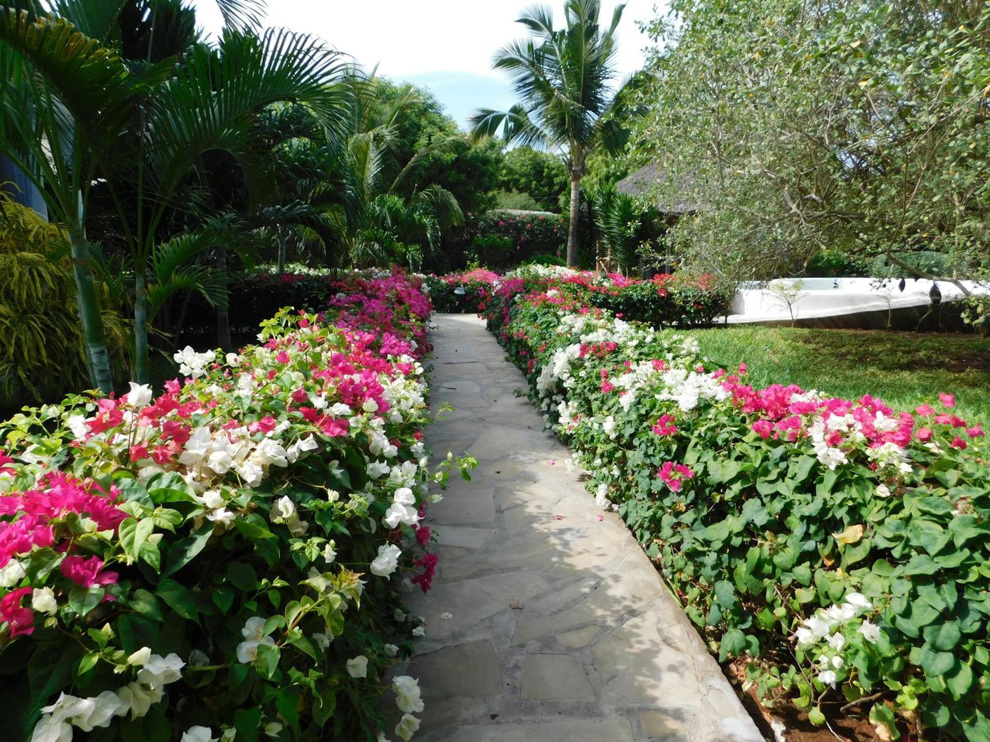 Dama Villa Watamu Exteriör bild